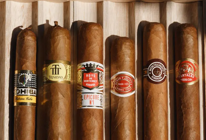 M Cigar Lounge